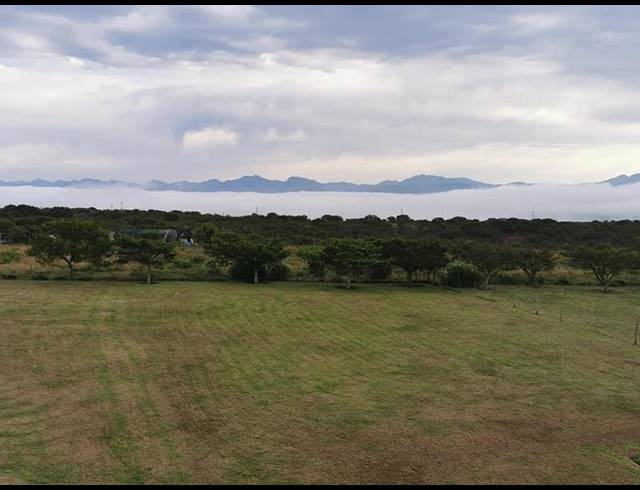 FARM FOR SALE IN AALWYNDAL